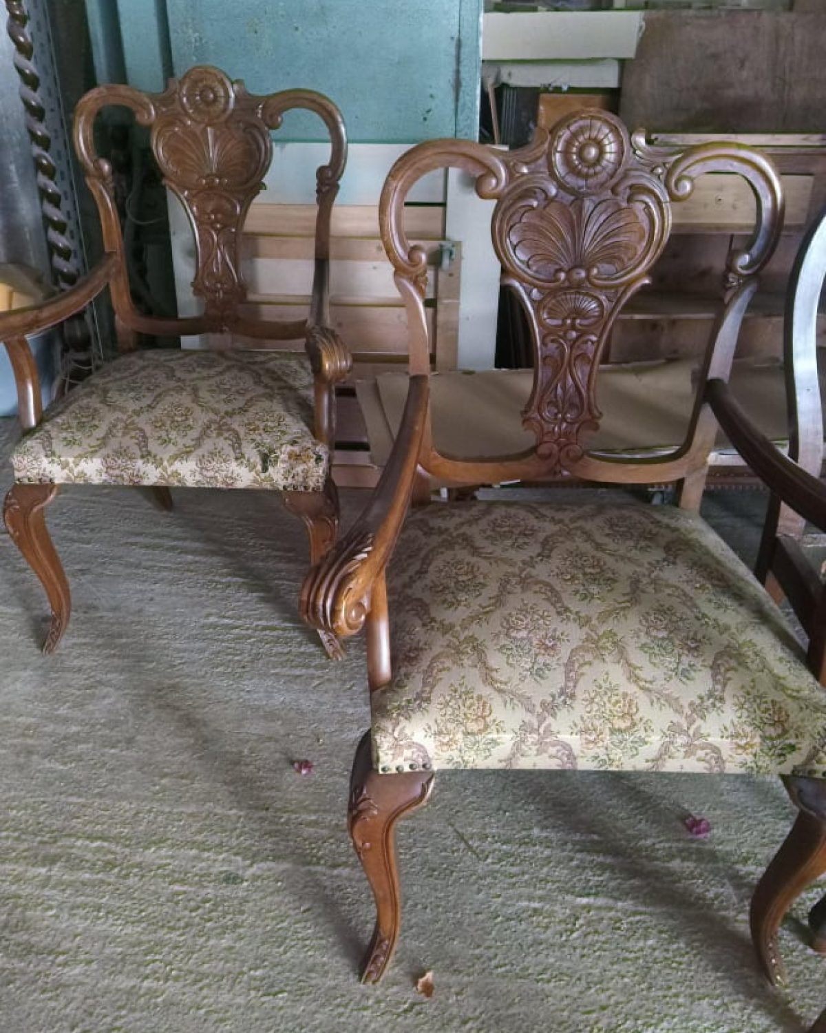 Kαρεκλοπολυθόρνες Before